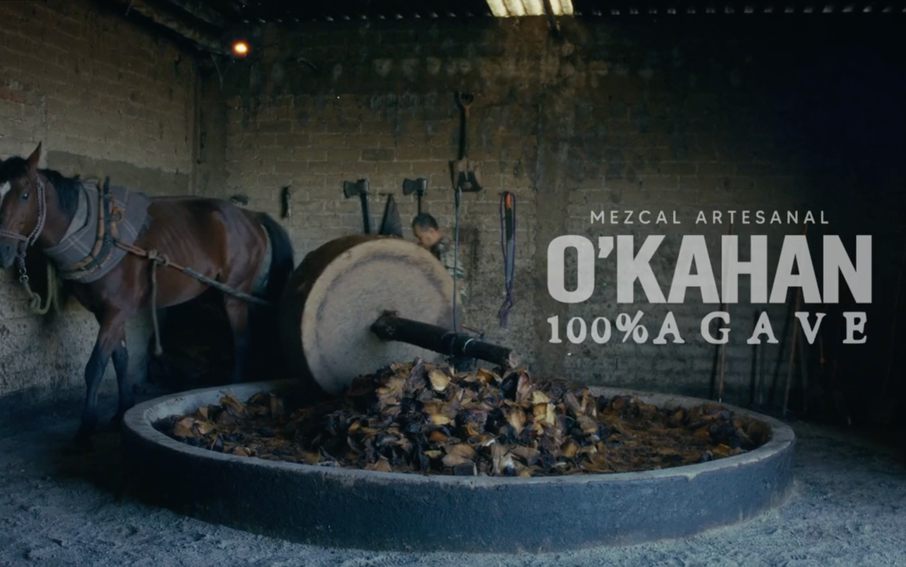 Load video: Casa Elemental Video