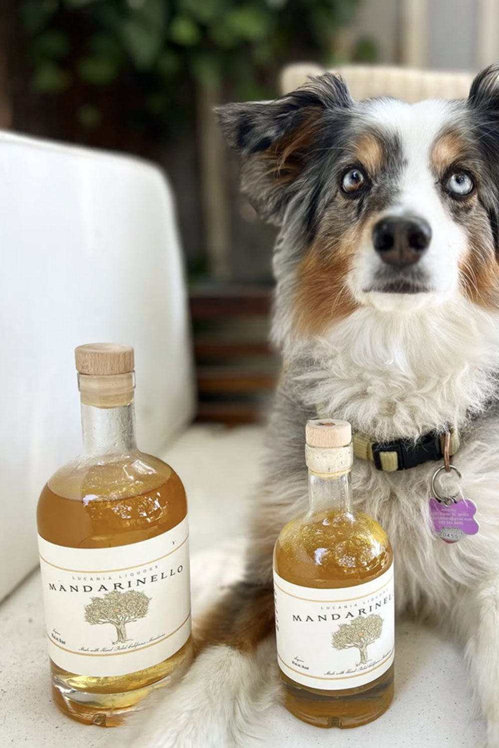 Lucania Liquors Mandarinello Liqueur 30% ABV / 60 Proof (750mL)